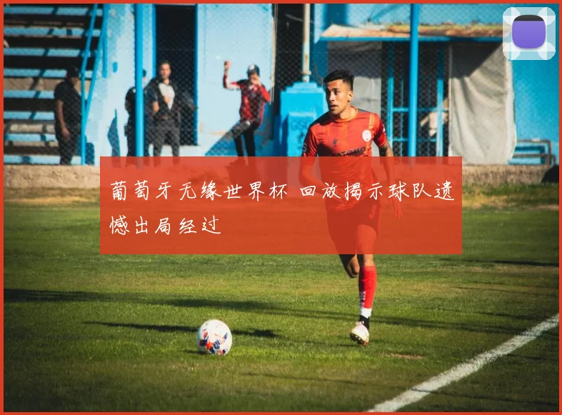 葡萄牙无缘世界杯 回放揭示球队遗憾出局经过