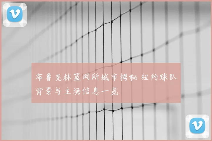 布鲁克林篮网所城市揭秘 纽约球队背景与主场信息一览