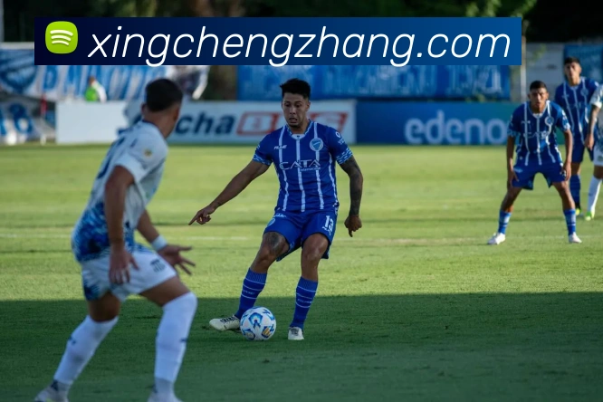 新爱体育百科发展历程